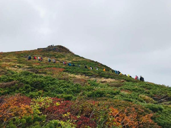 【福岡空港発】 《登山》紅葉のじゅうたん!栗駒山登山2日間*2